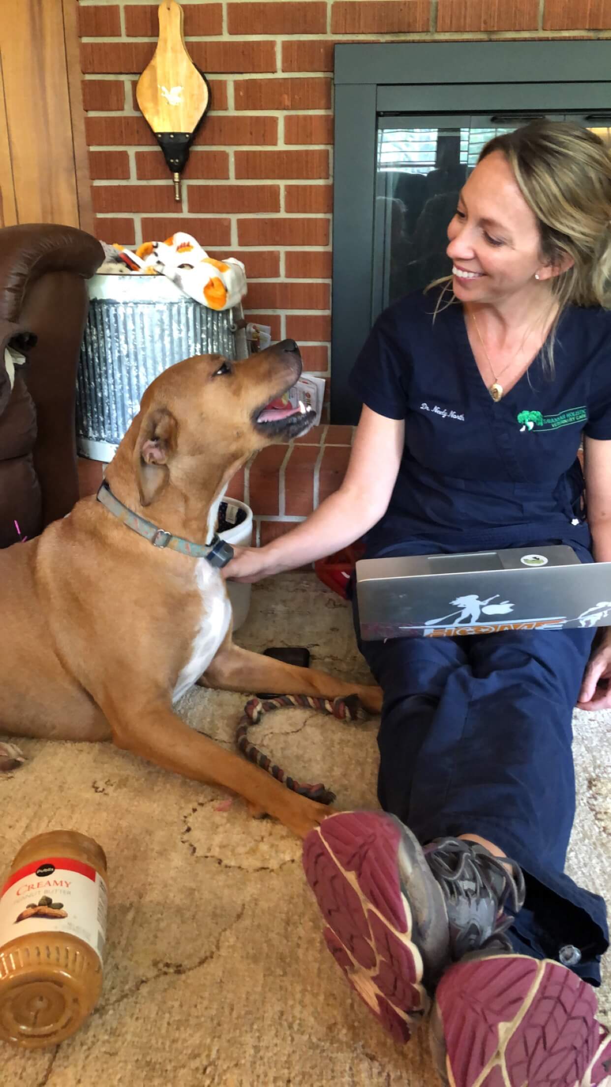 A veterinarian petting a dog